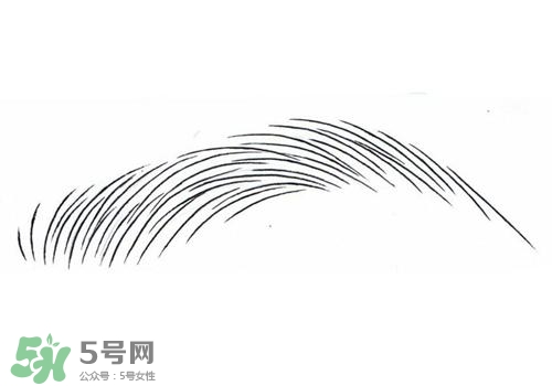 掉眉毛是怎么回事？掉眉毛還會(huì)長嗎？