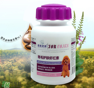 泰迪吃蝦紅素好嗎？蝦紅素的功效與作用