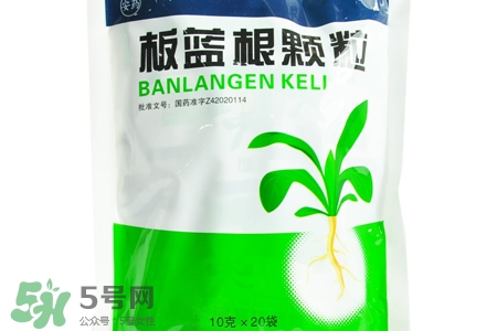 板藍(lán)根什么時(shí)候喝最好？板藍(lán)根一天中什么時(shí)間喝最好？