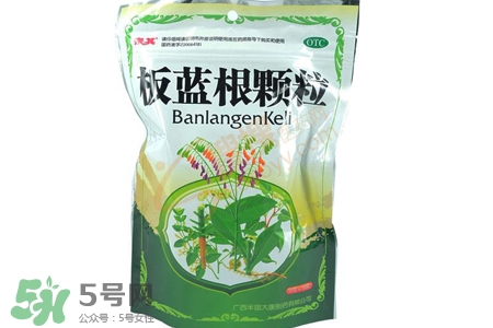 板藍根喝多了會怎樣？板藍根喝多了會有副作用嗎？