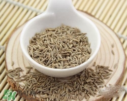 小茴香是孜然嗎？小茴香和孜然的區(qū)別