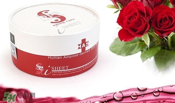 spa treatment是什么牌子？spa是什么檔次？