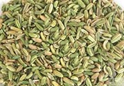 小茴香是孜然嗎？小茴香和孜然的區(qū)別