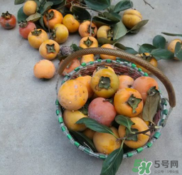 柿子長(zhǎng)白點(diǎn)還能吃嗎？柿子上有白點(diǎn)能吃嗎？