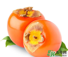 柿子籽能吃嗎？柿子籽的功效與作用