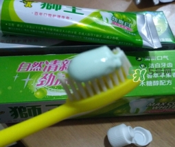 lion獅王是什么牌子？獅王是哪個國家的什么檔次？