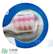 獅王牙刷怎么辨別真假？獅王牙刷真假對比