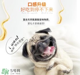 狗狗營養(yǎng)膏什么牌子好？狗狗營養(yǎng)膏多少錢？