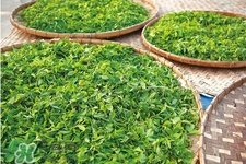 冬天濕氣重喝什么茶？濕氣重應(yīng)該喝這7款茶