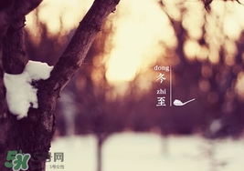 冬至要上墳嗎？冬至為什么要上墳？