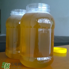 冬蜜好還是春蜜好？冬蜜和春蜜的區(qū)別