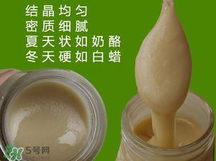 冬蜜是什么蜜？冬蜜的功效與作用