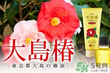 大島椿護(hù)發(fā)精油能涂臉嗎？大島椿發(fā)油的身體護(hù)理用法
