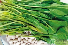 菠菜熱量高嗎？菠菜吃多了會(huì)發(fā)胖嗎？