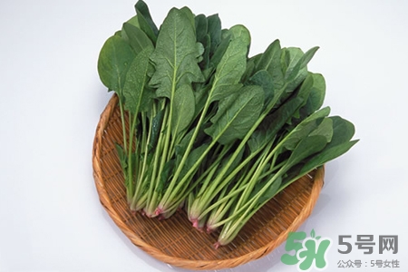 吃菠菜能減肥嗎？3日菠菜減肥食譜減肥不反彈