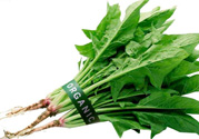 吃菠菜力氣會(huì)變大嗎？多吃菠菜既有力氣又能瘦