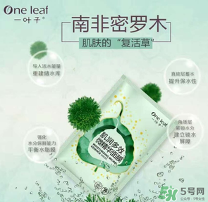 一葉子是哪個(gè)國(guó)家的？一葉子面膜是哪個(gè)國(guó)家的？