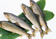 咽喉炎可以吃魚嗎？咽喉炎吃魚有什么好處？