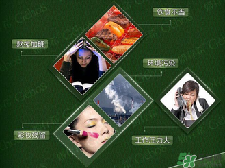 姬存希黃瓜膠多少錢？姬存希黃瓜膠價格
