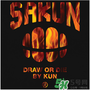 sakun是大品牌嗎？sakun是什么牌子