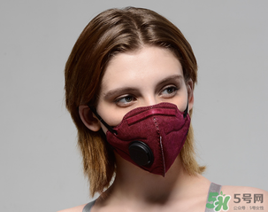 pm2.5口罩多少錢？pm2.5口罩價格