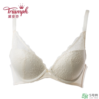 黛安芬內(nèi)衣怎么樣？黛安芬內(nèi)衣價(jià)格圖片