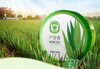 雅麗潔蘆薈膠多少錢？雅麗潔蘆薈膠好不好？
