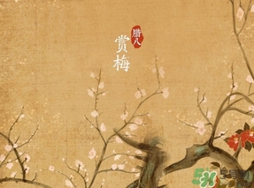 臘八節(jié)出生的女寶寶怎么取名？臘八節(jié)出生的男寶寶怎么取名？