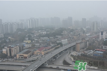 霧霾天吃什么菜清肺？霧霾天白色食物最清肺
