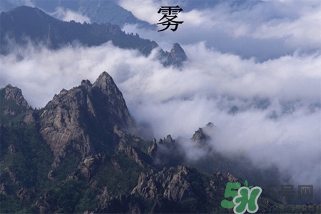 霧霾天吃什么菜清肺？霧霾天白色食物最清肺