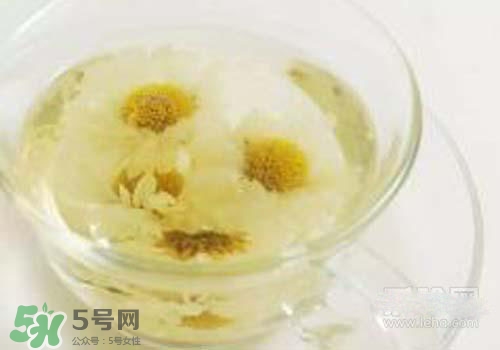 菊花茶什么時候喝最好？菊花茶什么季節(jié)喝最好？