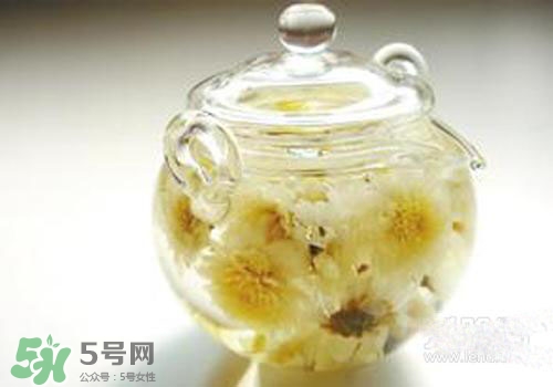 菊花茶什么時候喝最好？菊花茶什么季節(jié)喝最好？