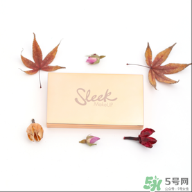 sleek眼影怎么樣？sleek眼影658教程