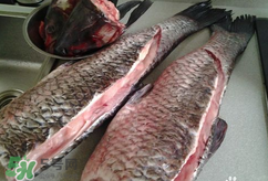 新鮮魚(yú)怎么腌制咸魚(yú)塊？咸魚(yú)塊怎么腌制