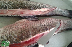 新鮮魚(yú)怎么腌制咸魚(yú)塊？咸魚(yú)塊怎么腌制