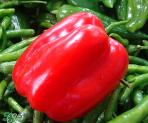 辣椒變紅能吃嗎？辣椒為什么會變紅？