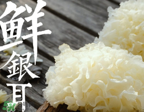 新鮮銀耳有毒嗎？新鮮銀耳怎么去毒？