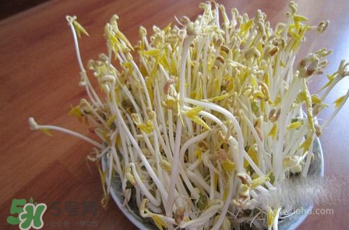 豆芽糖尿病可以吃嗎？糖尿病吃豆芽有什么好處？