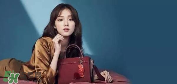 李圣經(jīng)的包包什么牌子？李圣經(jīng)包包同款