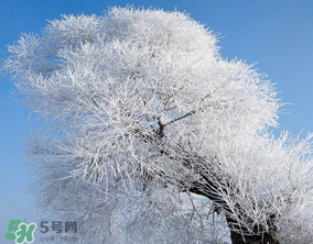 2017年第一場(chǎng)雪什么時(shí)候？2017年什么時(shí)候下雪？