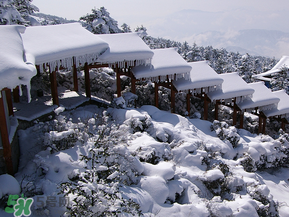 2017年第一場(chǎng)雪什么時(shí)候？2017年什么時(shí)候下雪？