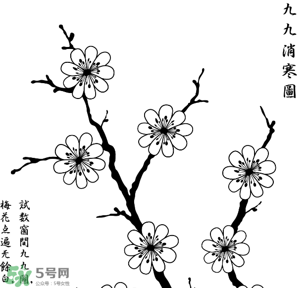 數(shù)九天什么時候最冷？數(shù)九天幾九最冷？