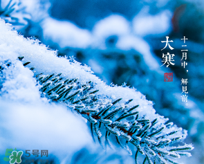 大寒是幾九？2017年大寒是幾九？