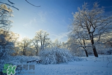 2017年過年天氣怎么樣？2017過年會(huì)下雨嗎？