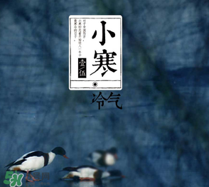 小寒和大寒哪個冷？小寒大寒什么意思？