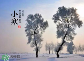 小寒和大寒哪個冷？小寒大寒什么意思？