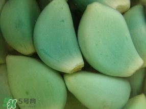 臘八醋里的蒜能吃嗎？臘八醋里的蒜好吃嗎？