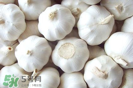2017過年大蒜會(huì)漲價(jià)嗎？2017年春節(jié)大蒜價(jià)格預(yù)測