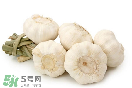 2017過年大蒜會(huì)漲價(jià)嗎？2017年春節(jié)大蒜價(jià)格預(yù)測