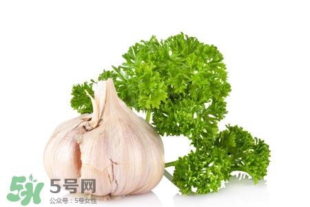 2017過年大蒜會(huì)漲價(jià)嗎？2017年春節(jié)大蒜價(jià)格預(yù)測